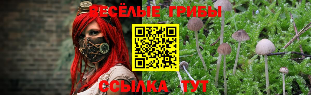 Ульяновск  Псилоцибиновые грибы ЛСД  Вход с VPN 